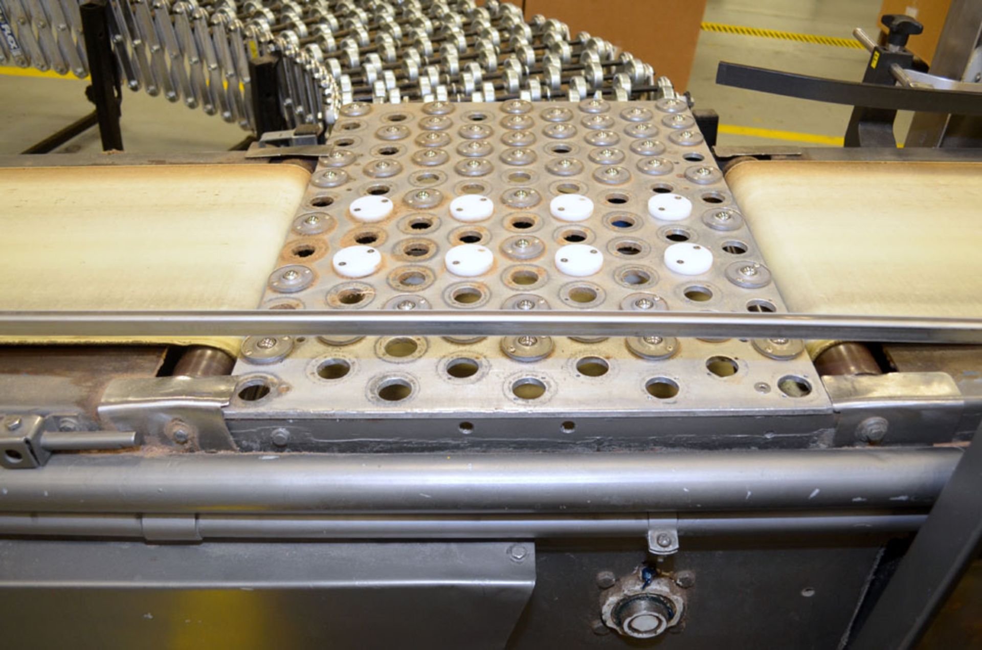 Case Conveyor - Image 5 of 6