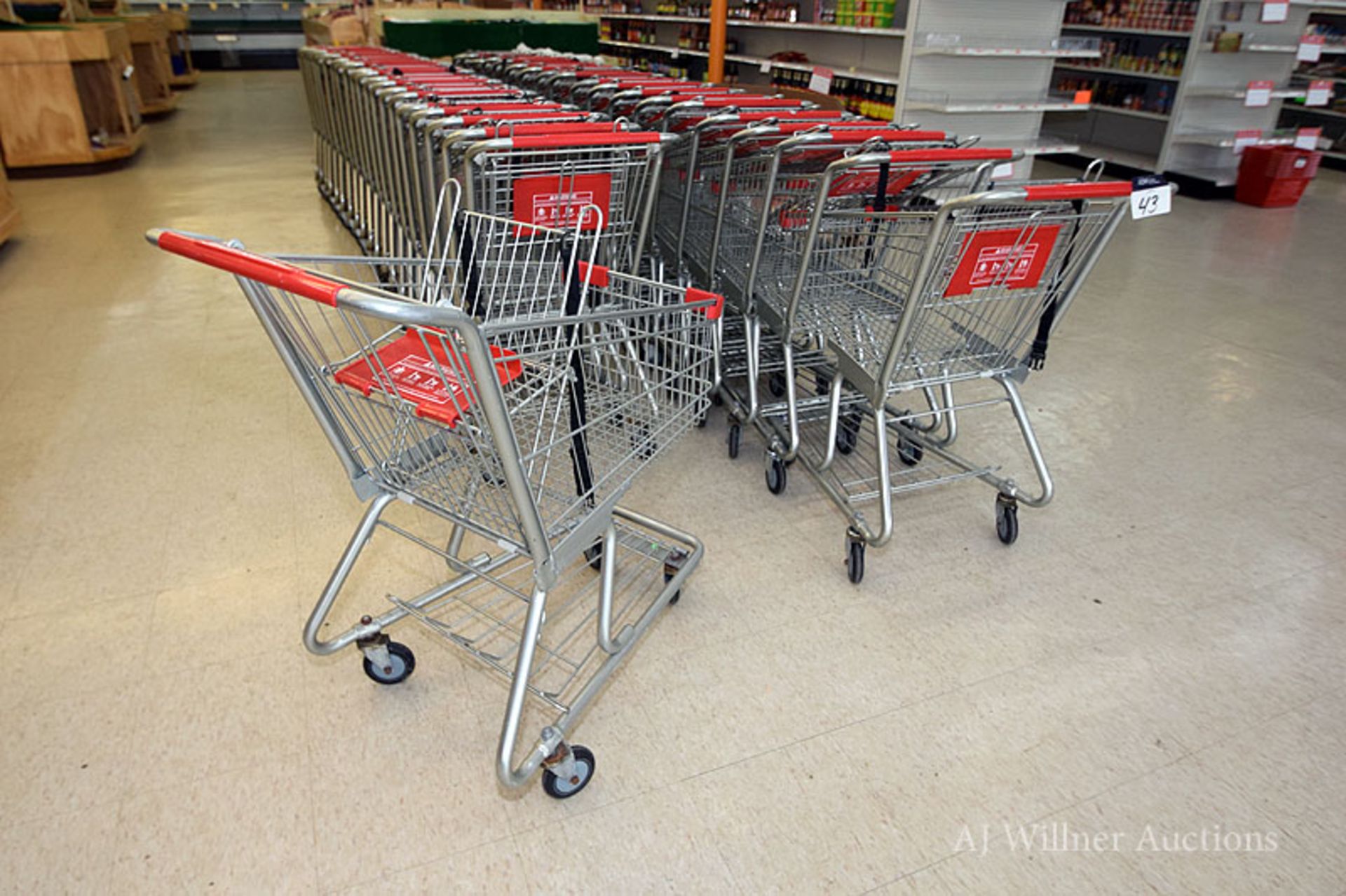 Shopping Carts, 28" Long & 4 Swivel Casters