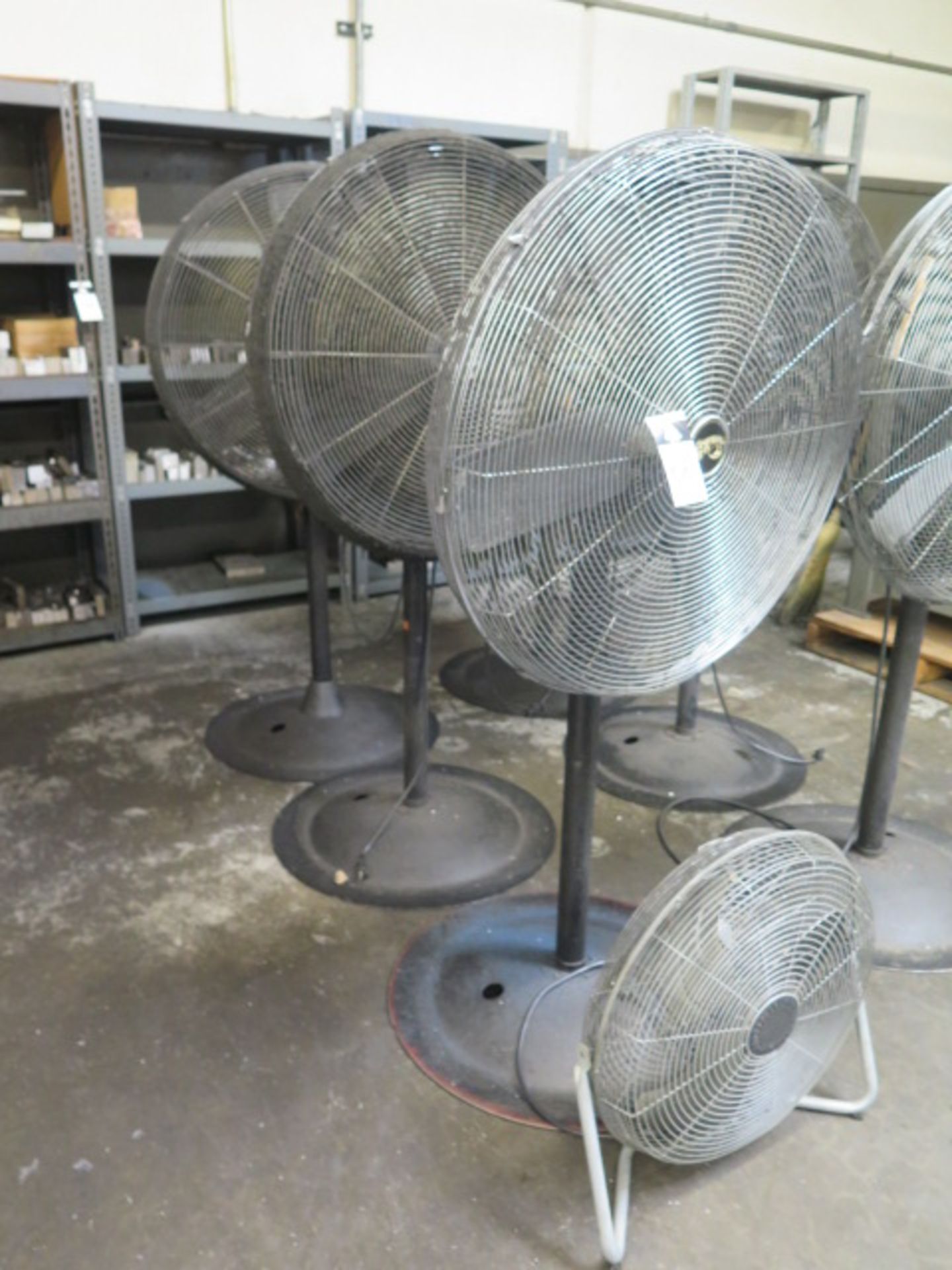 Shop Fans (4)