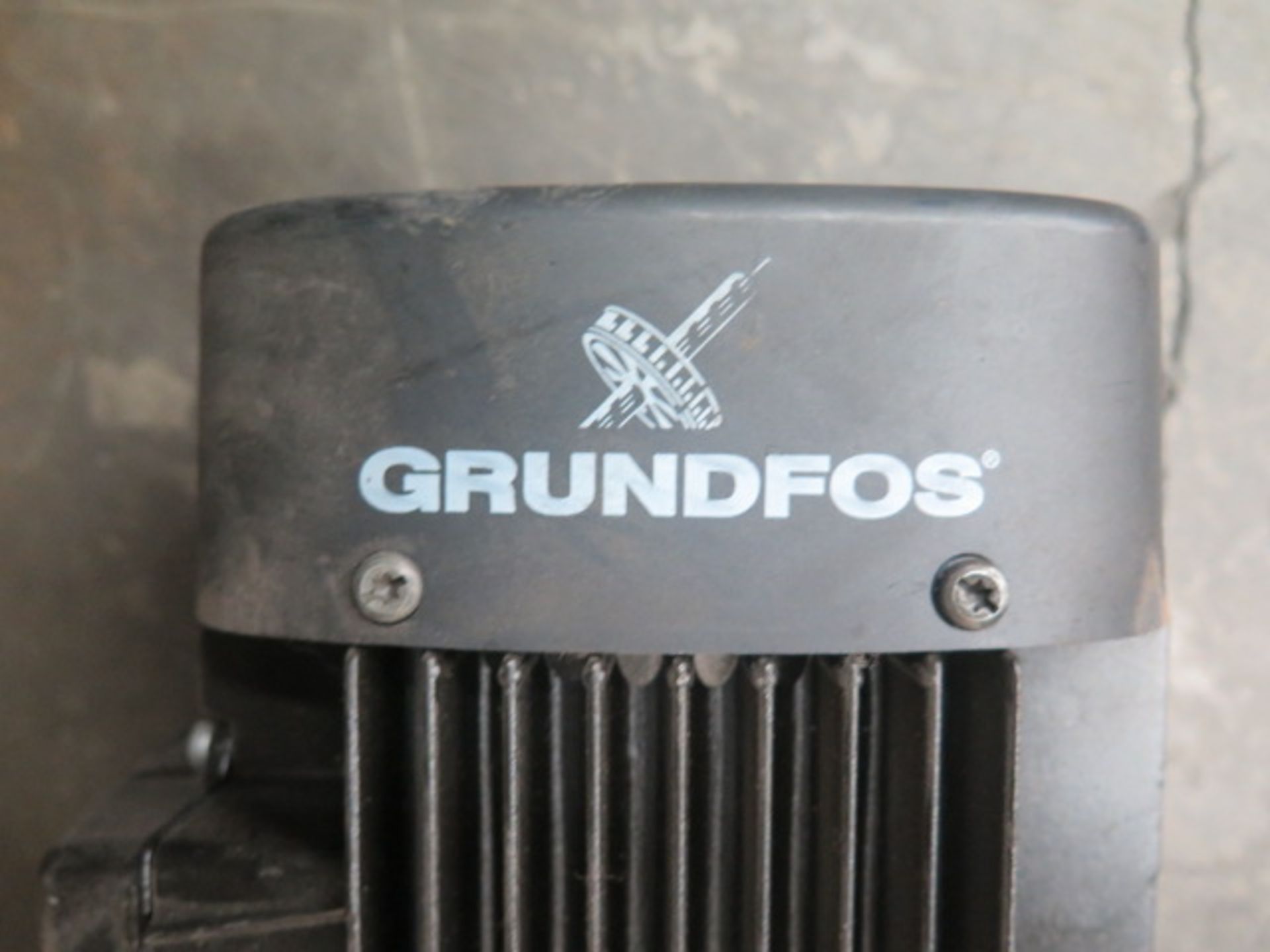 Grundfos High Volume Pumps (2) - Image 4 of 4