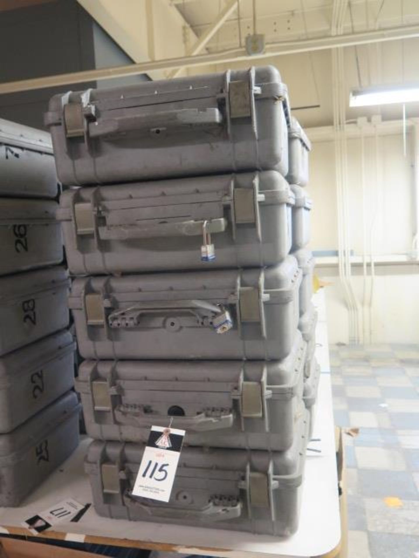 Pelican Travel Cases (10)