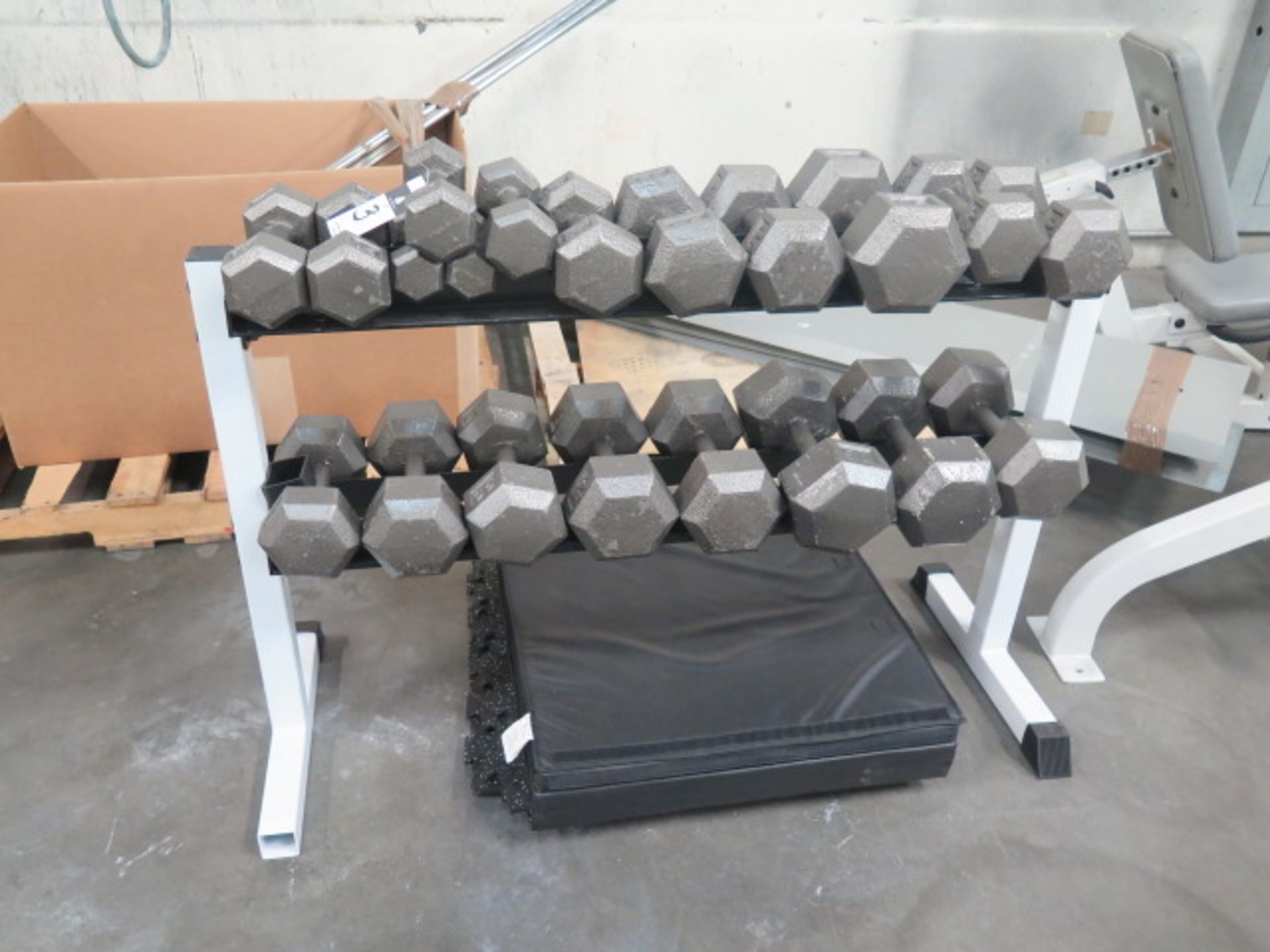 Iron Dumbbell Free Weights and Stand