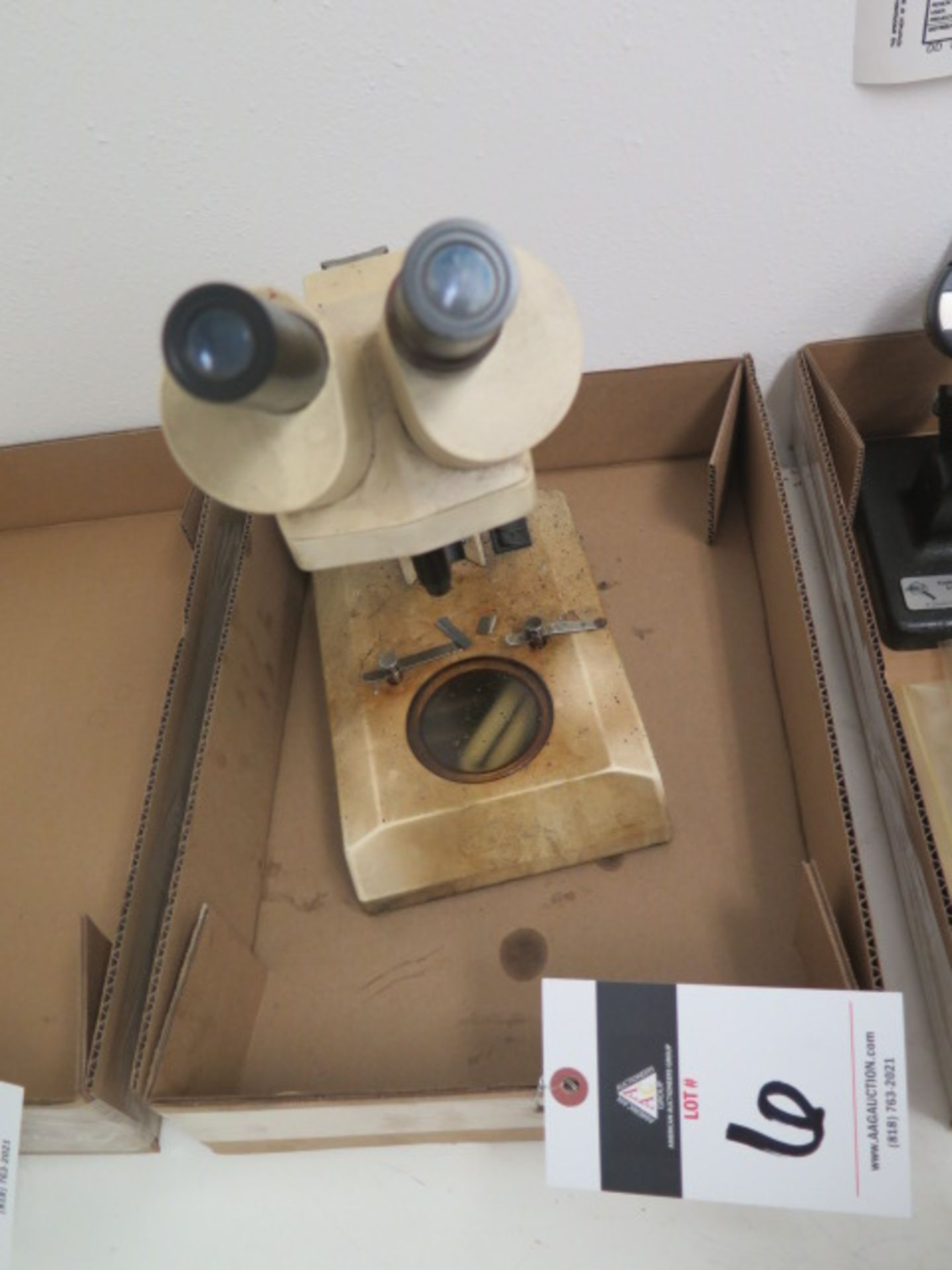 Stereo Microscope