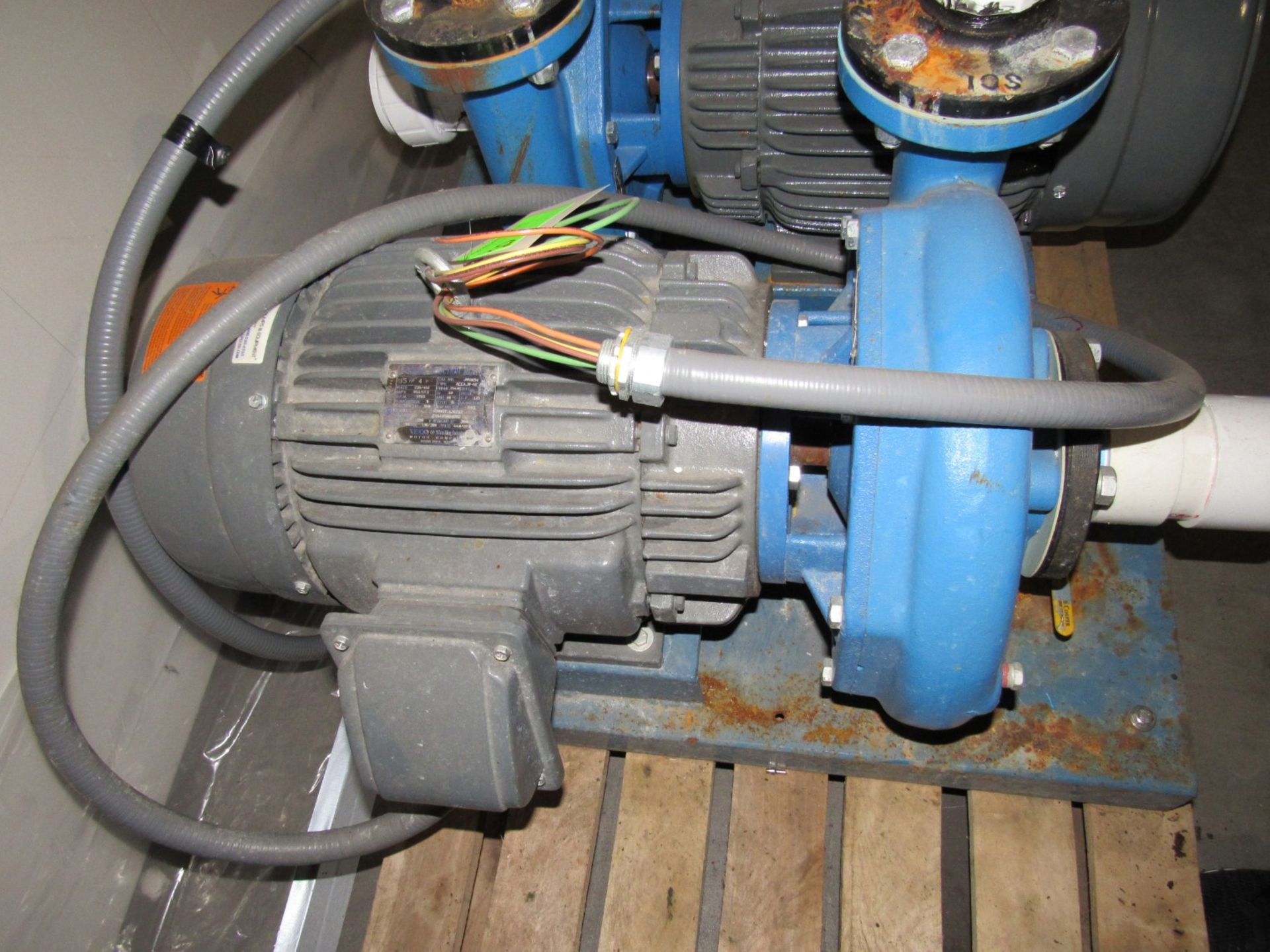 Teco 3 Phase Induction Motor 15HP