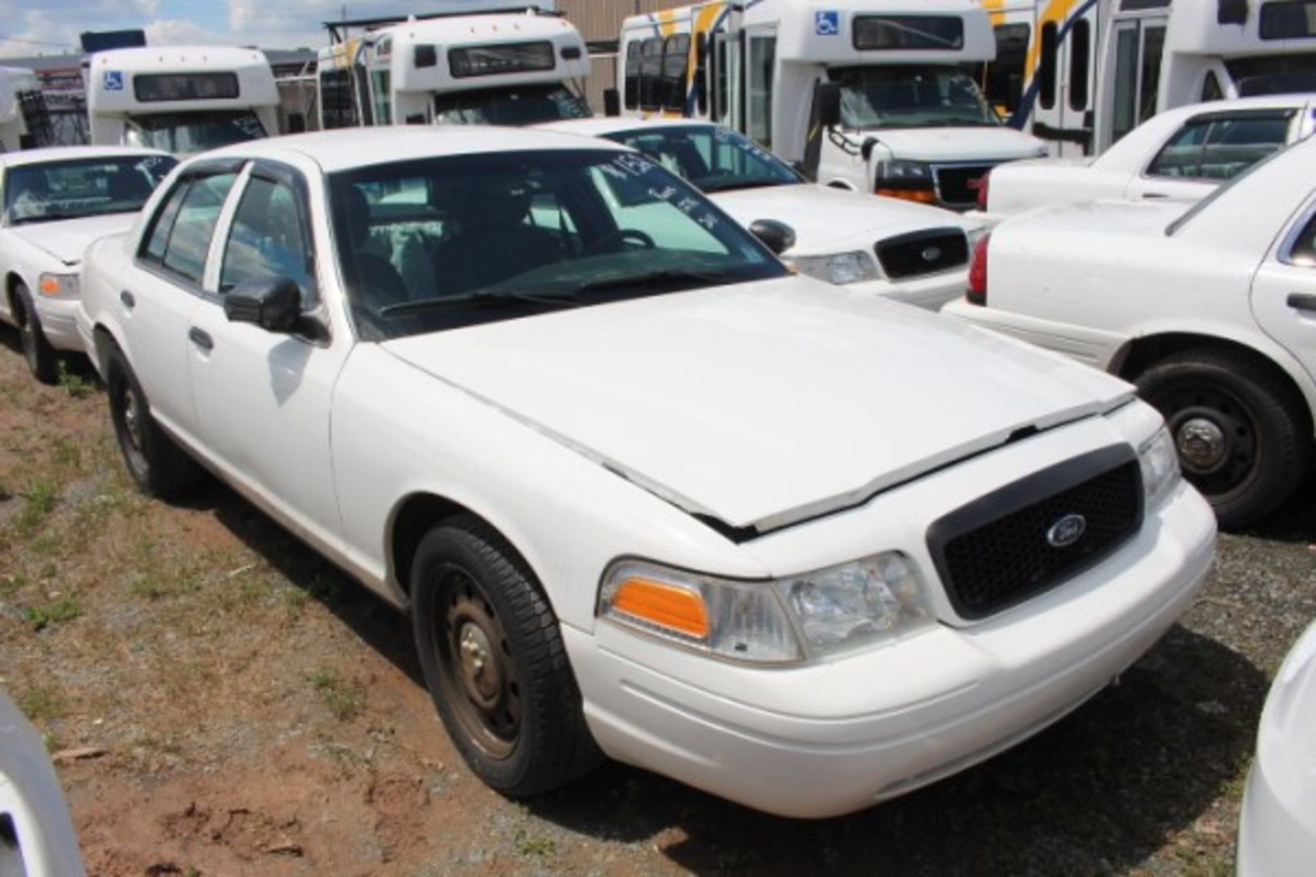 2011 FORD CROWN VIC - Image 2 of 6