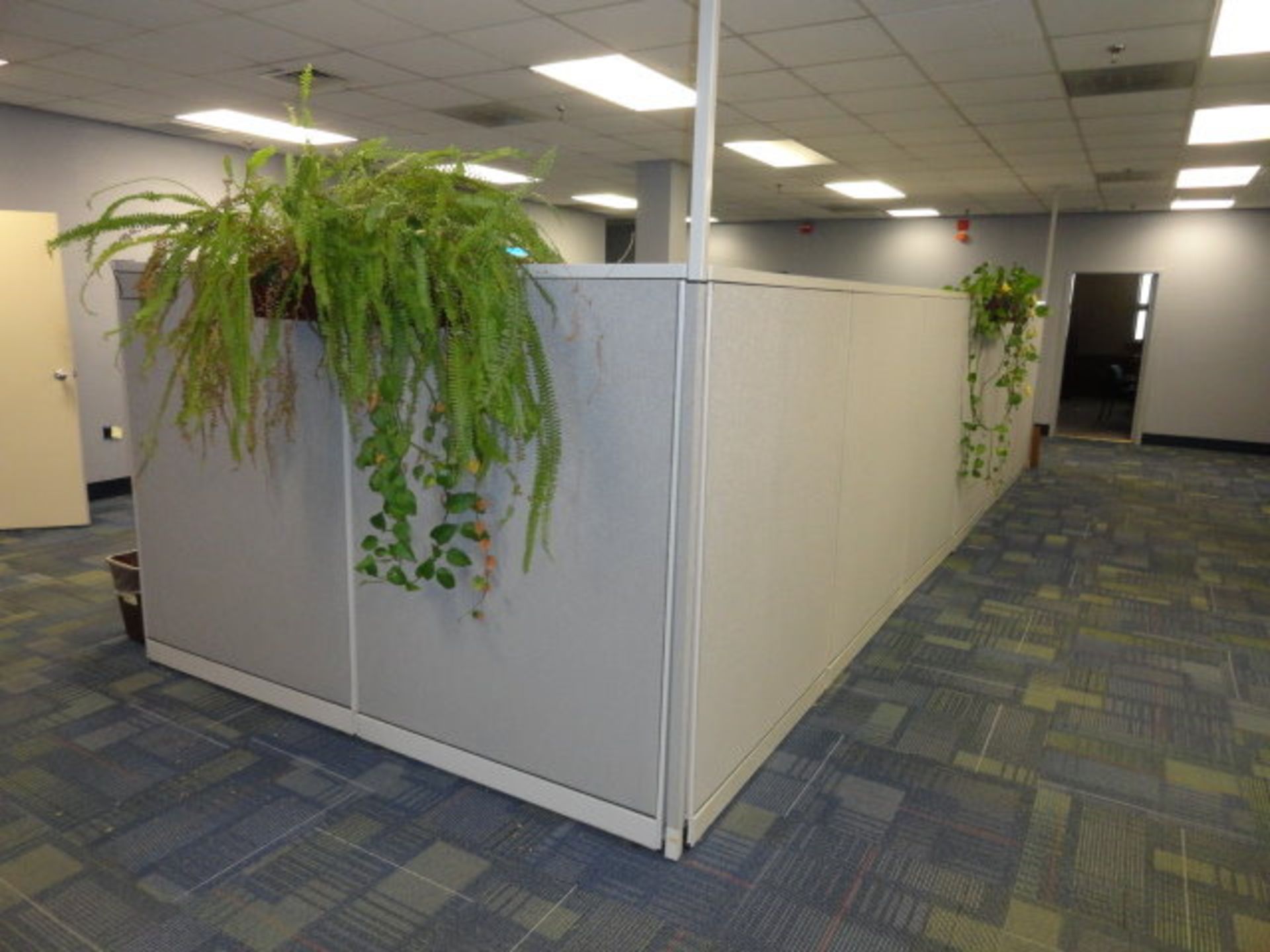 Office Furniture: (2) Sections of Office Partitions, 8' w x 24' long, (3) 'L' Shaped Desks, 8 x