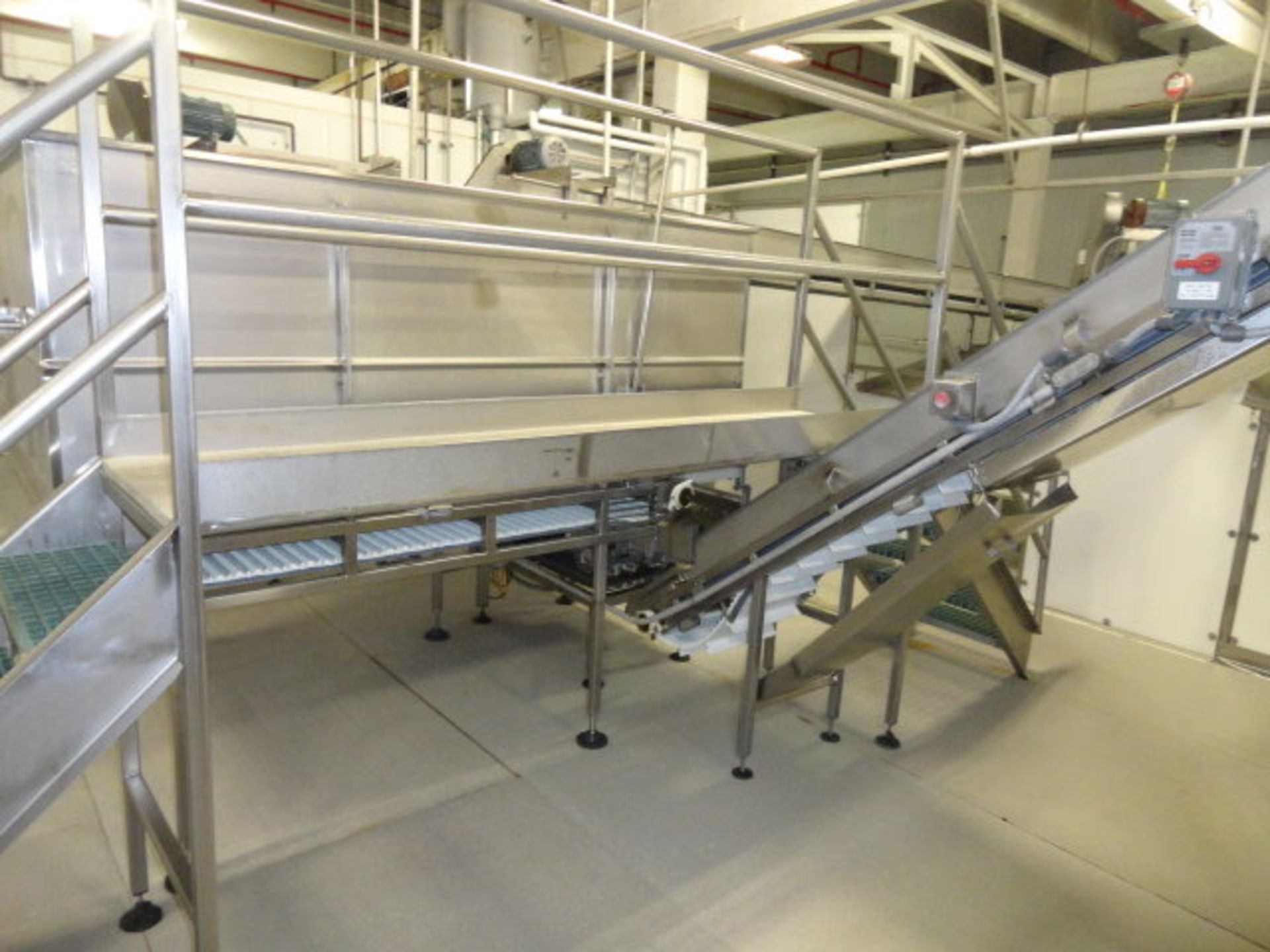 Accumulation Conveyor, Frigo discharge, live bin 8' x 4' x 40" deep, bottom belt 40" x 7' bottom