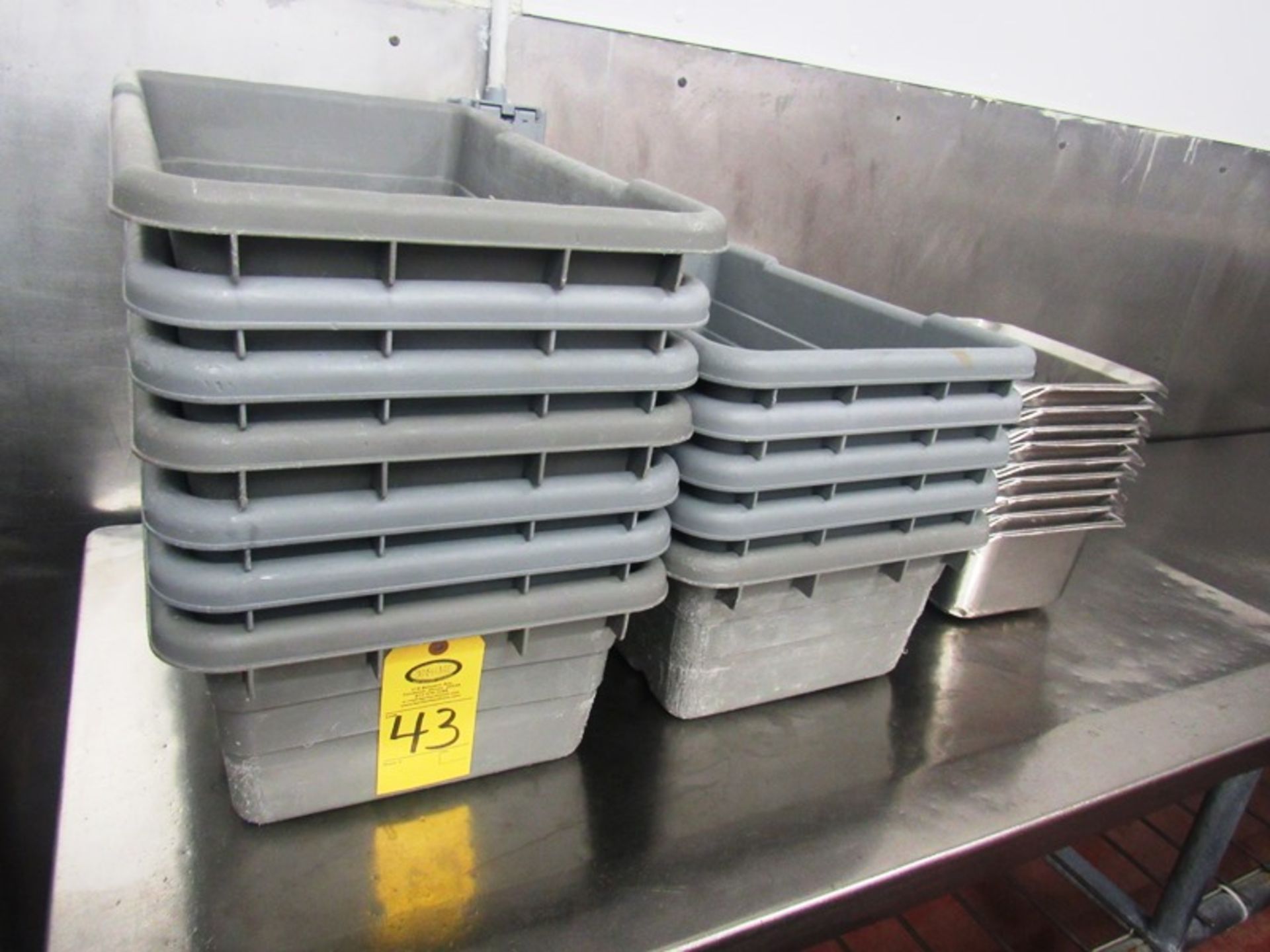 (12) Plastic Totes, (9) Stainless Steel Pans