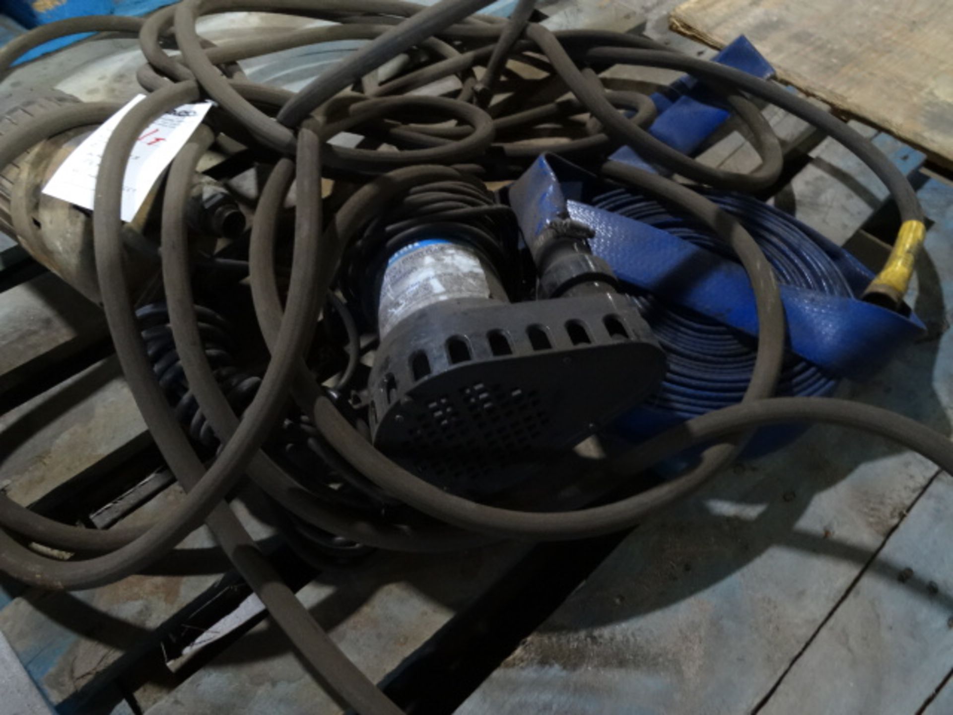 1 LOT, 2 (AS IS) WATER PUMPS W/ HOSE