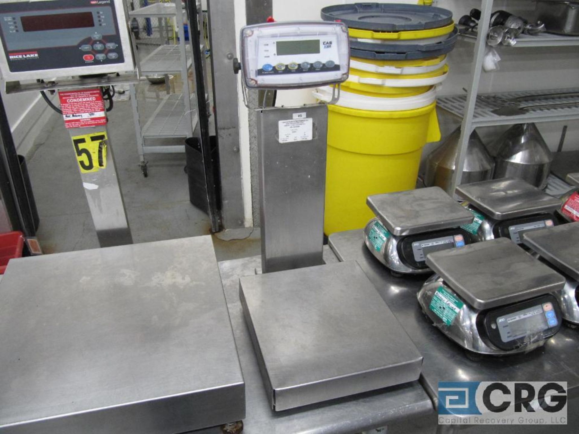 CAS X320 14" X 12" platform scale, stainless, s/n 3518176