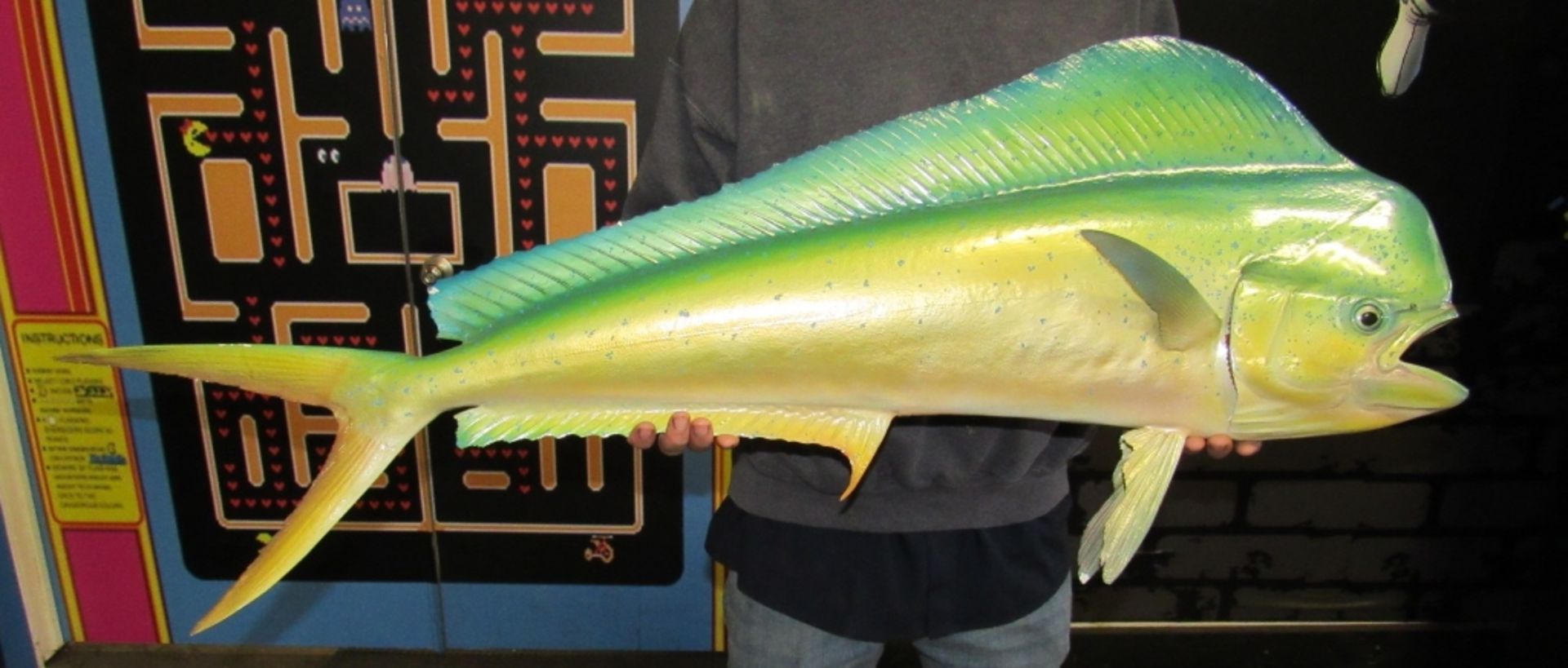 DORADO MAHI MAHI TROPHY FISH MOUNT REPLICA 36"