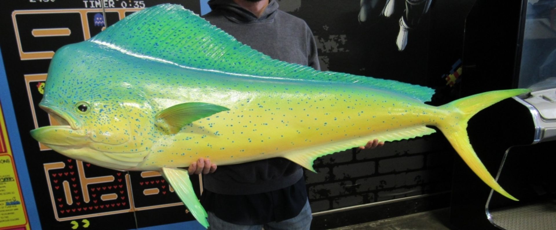 DORADO BULL MAHI MAHI TROPHY MOUNT REPLICA 55"