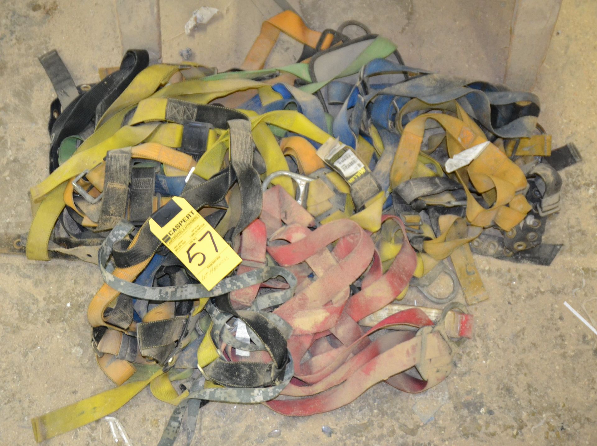 LOT - ASSORTED HARNESSES