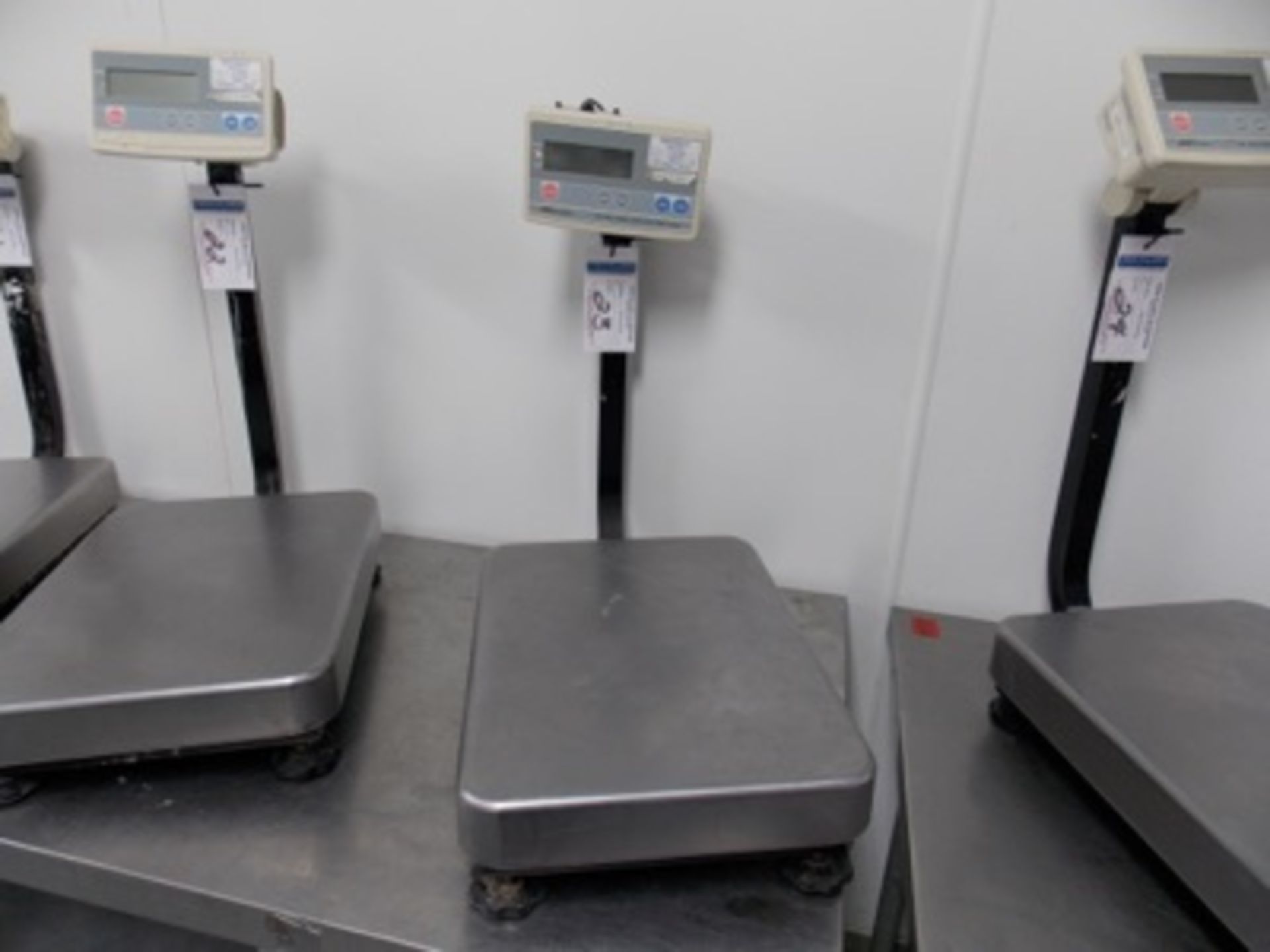 150 Lb Capacity Scale | Digital Platform Scale, 150lb. Cap Scale I.D. M301 | MODEL# FG-60KAL | - Image 2 of 2