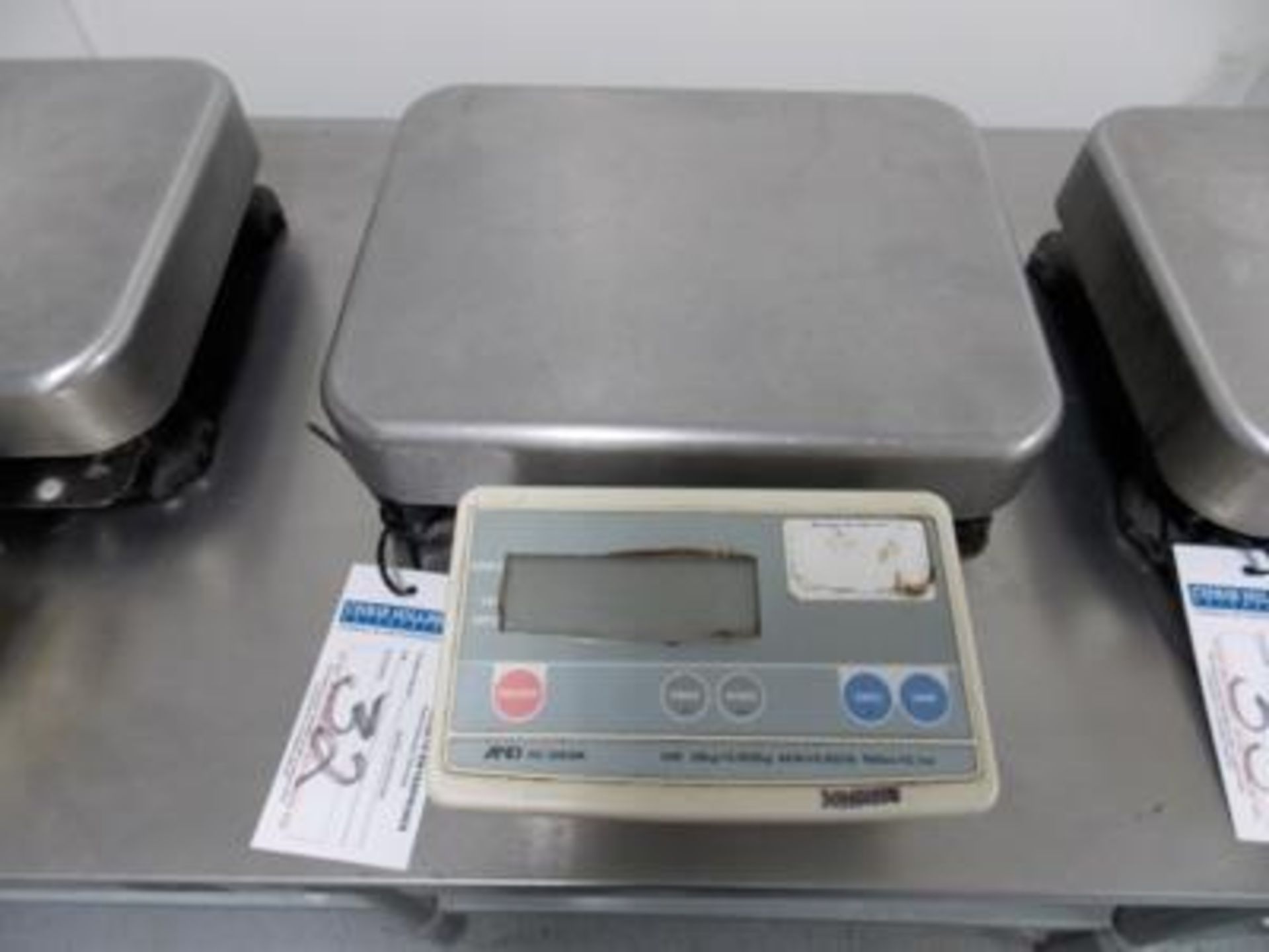 Digital Platform Scale, 150lb. Cap Scale