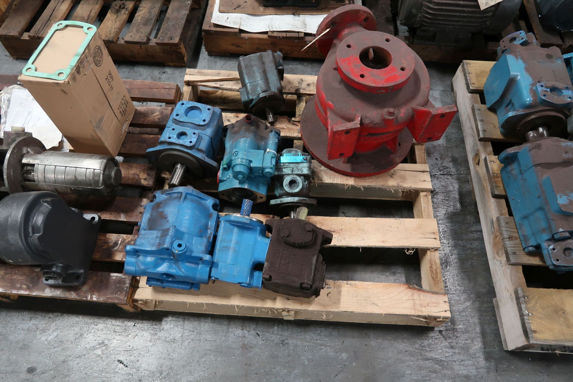 SKIDS PUMPS **LOADING PRICE DUE TO ERRA - $25.00** - Image 3 of 4