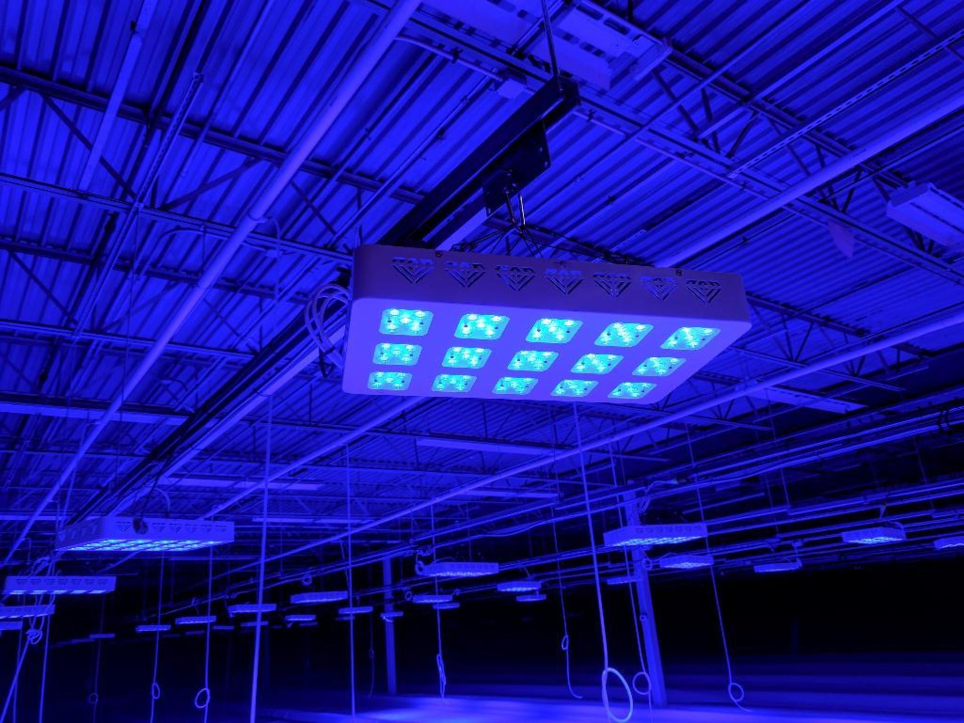 Advanced led lights diamond series 300w LED grow light - Image 3 of 3