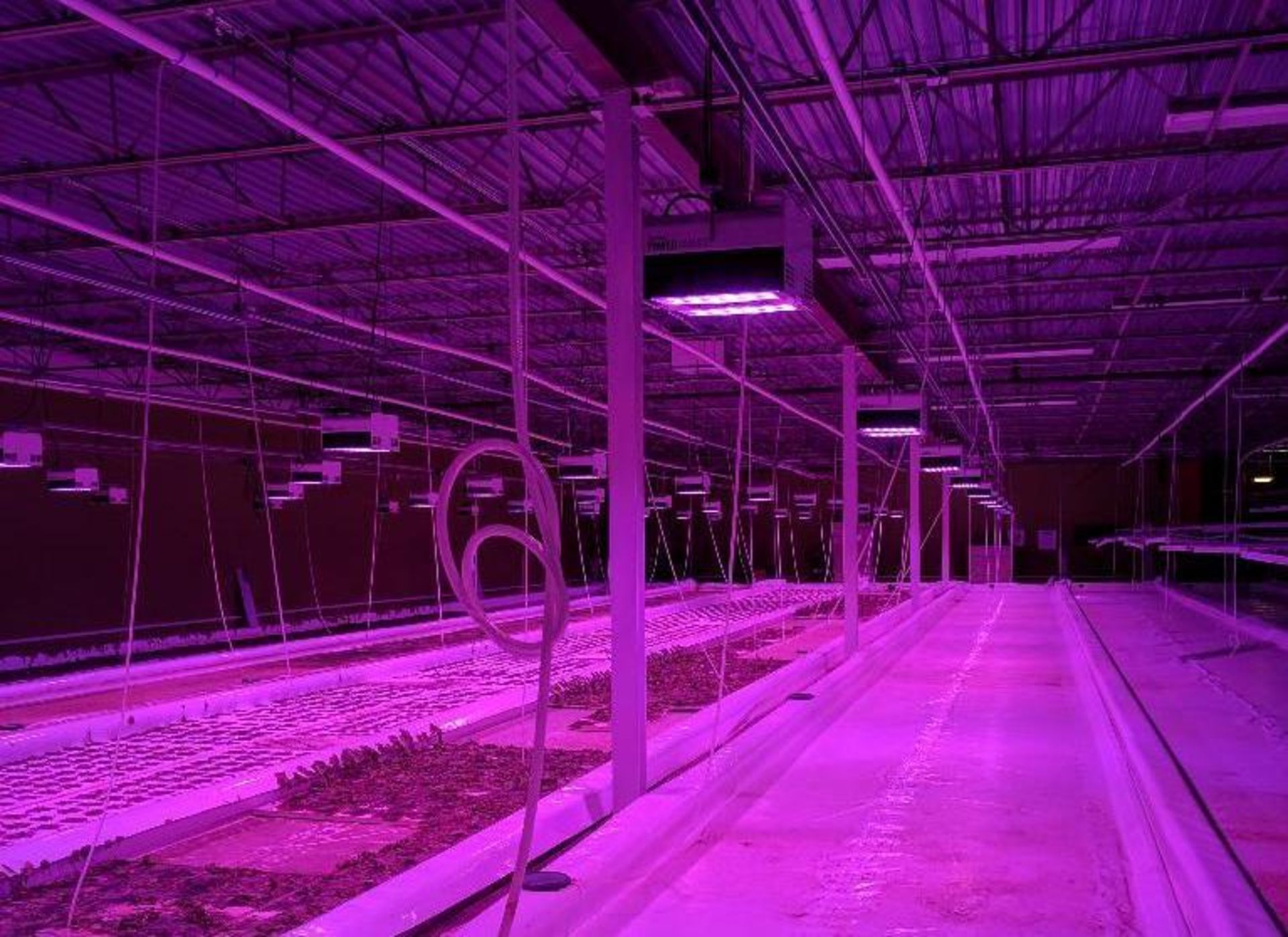 3 Illumitex Power Harvest LED Grow Lights - Image 2 of 5