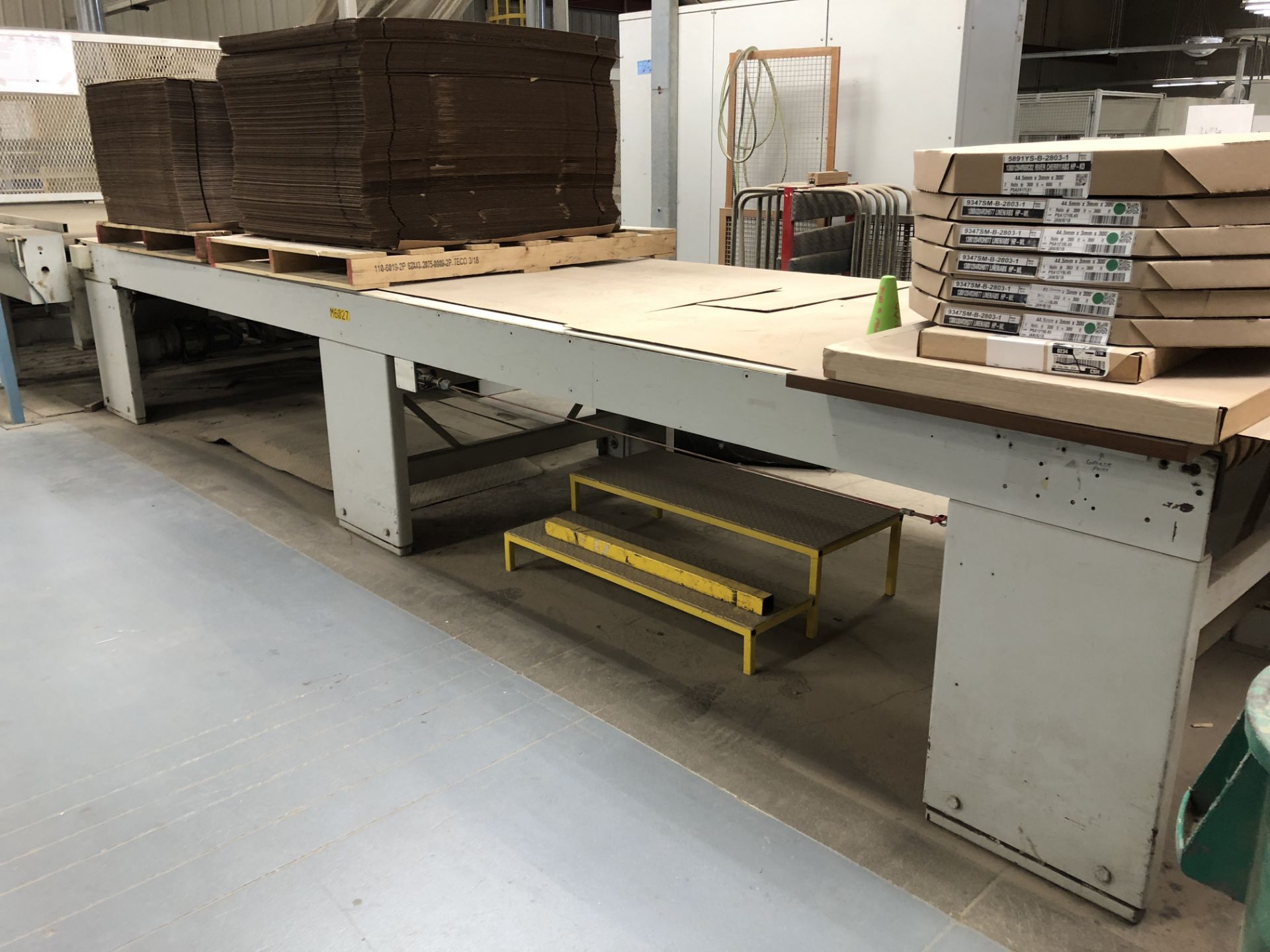 CEFLA PANEL FLIPPER (WITH INFEED AND OUTFEED BELT CONVEYORS) - Image 9 of 11