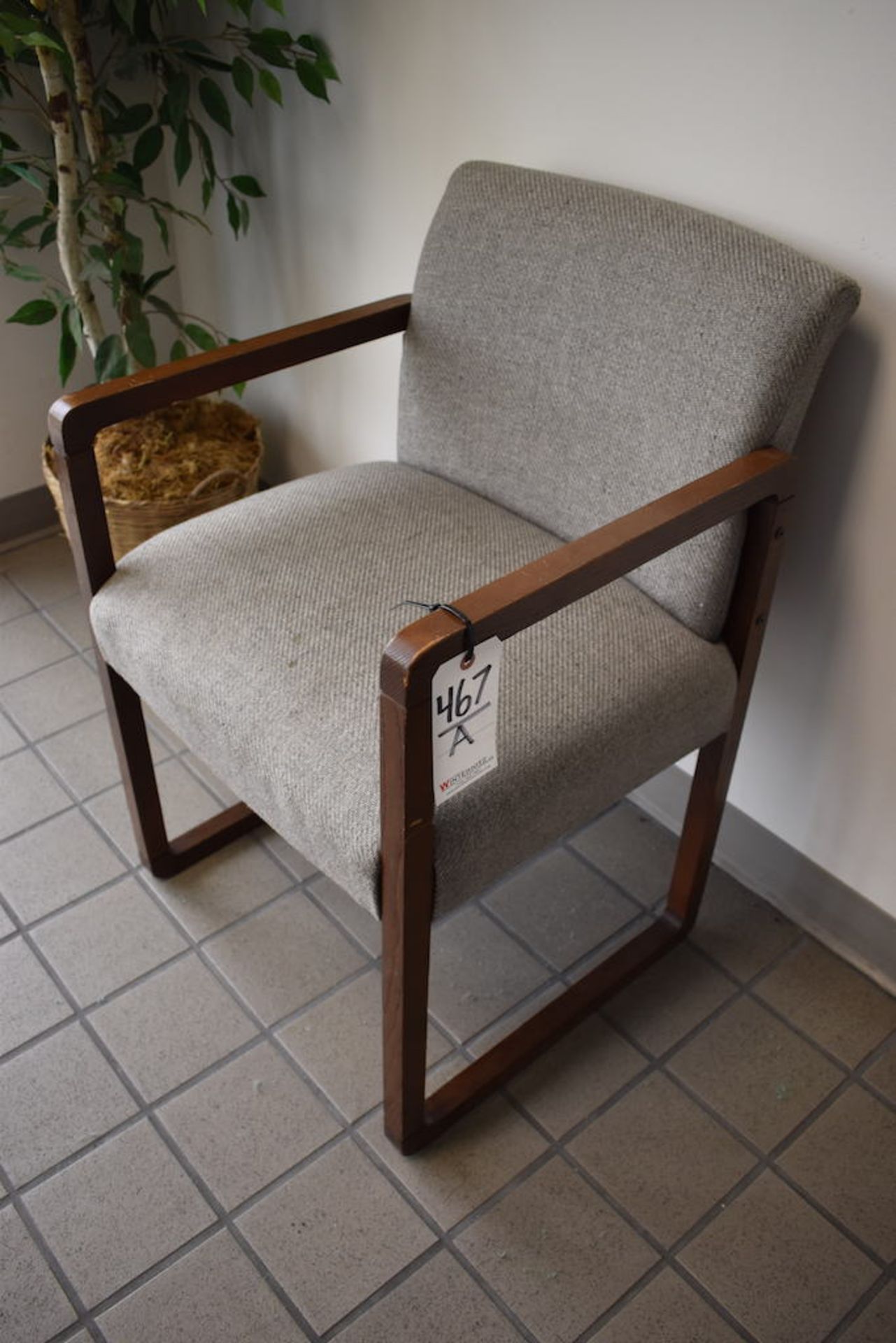 LOT: (3) Upholstered Chairs, (1) Plant (in reception area)