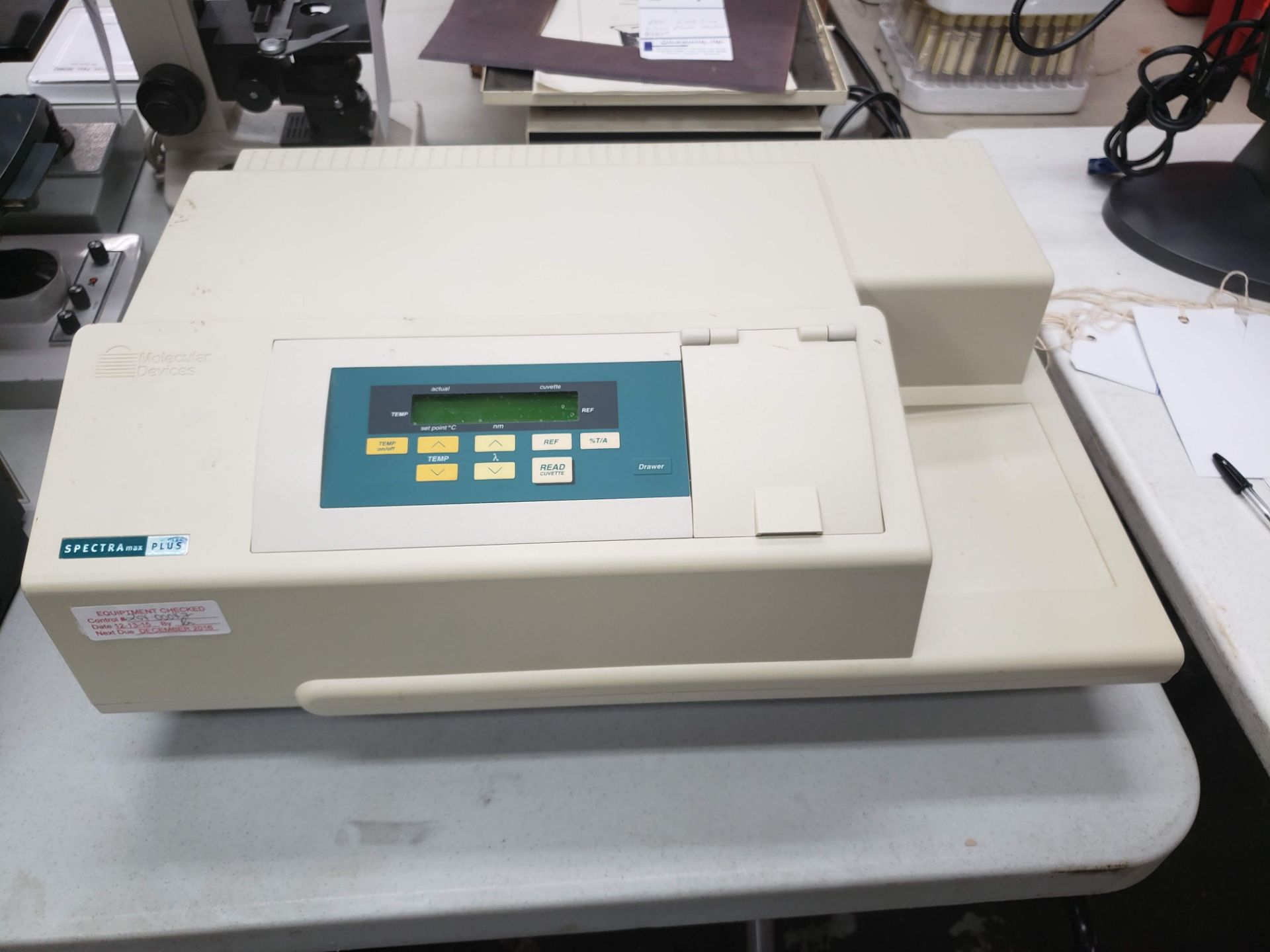 MOLECULAR DEVICES SPECTRA MAX PLUS MICROPLATE SPECTROPHOTOMETER