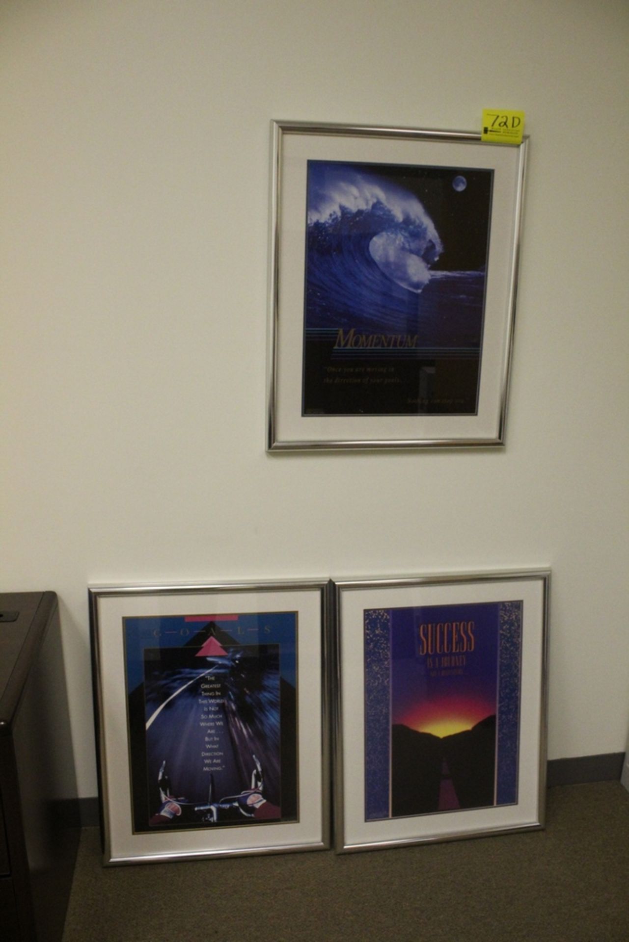 (3) FRAMED PICTURES, 31" X 25"