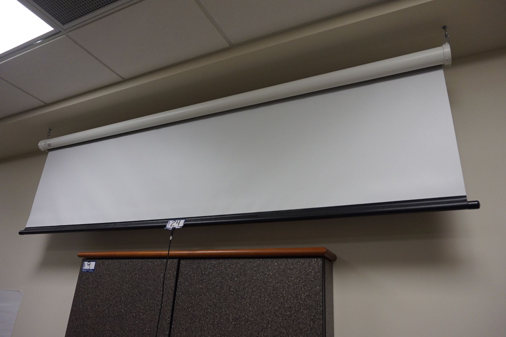 Draper Projector Screen