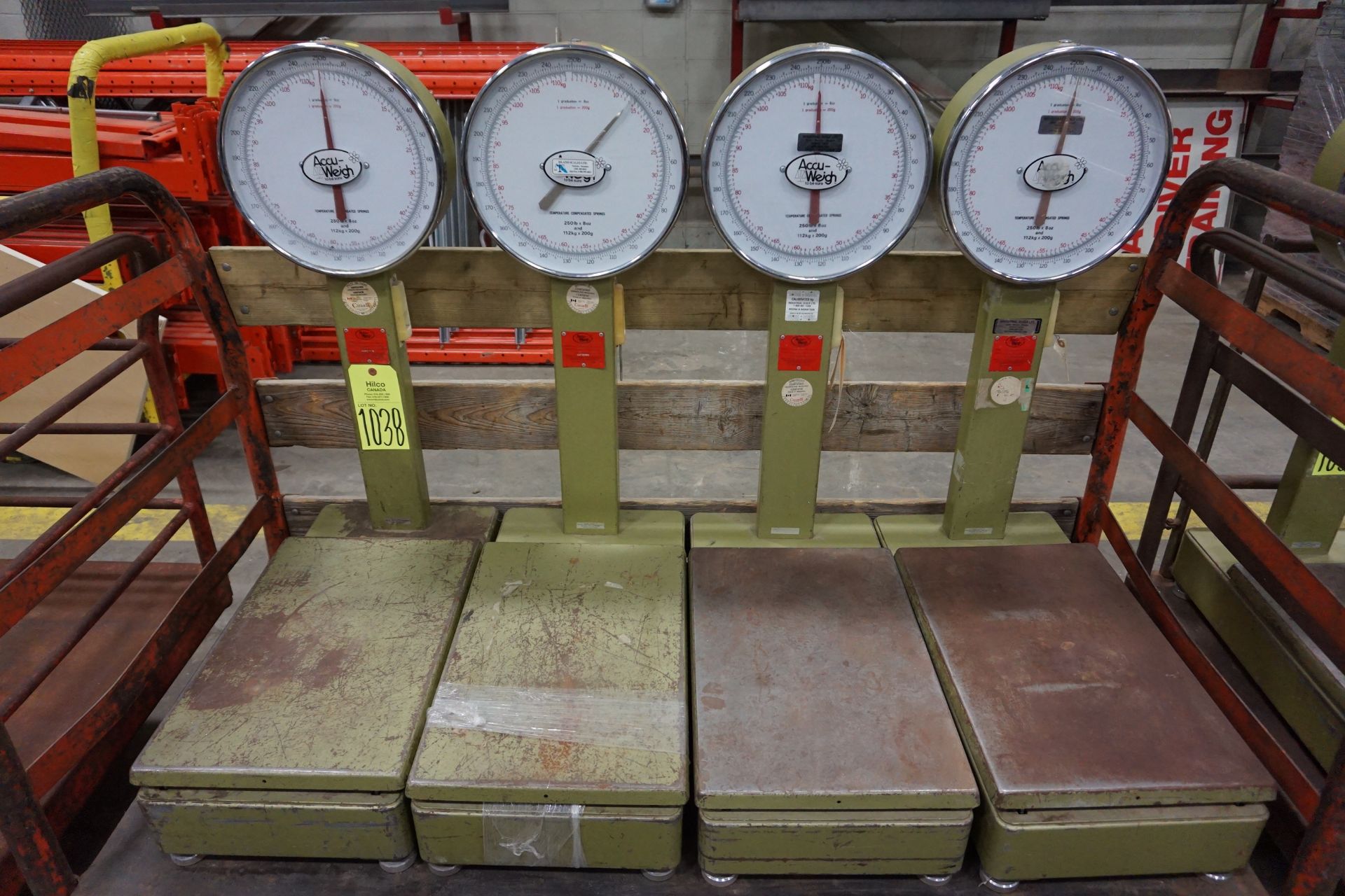 Accu-Weigh 250-Lbs Capacity Dial Scales