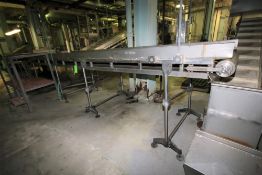 ~20 ft. 6" L S/S Inspection Conveyor System, with 34" W Belt, S/S Siderails with Side Gate, Sparks
