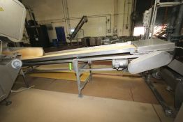 16 ft L Inclined S/S Belt Conveyor System with 24" W Belt, 1 hp Electric Drive Motor, S/S Side