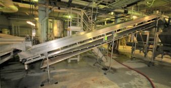 ~22 ft. L S/S Inclined Conveyor System, with 34" W Belt with 12" Flights, S/S Siderails, Bottom