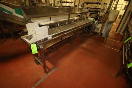 ~10 ft. L S/S Infeed Conveyor with 13" W S/S Mess Belt, Drive and S/S Legs (Flo Wrapper 1)