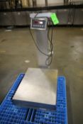 Rice Lake S/S Platform Scale, Model IQ+355-2A, S/N 173876 with 30 x 24 S/S Platform