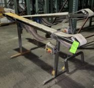 ~94" L S/S Belt Conveyors with 6" W Belt and Drives