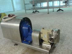 S/S Skid-Mounted Positive Displacement / Lobe Pump