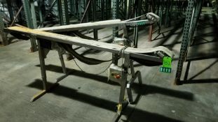 Weighpack ~94" L S/S Belt Conveyors with 6" W Belt and Drives (Site #352)