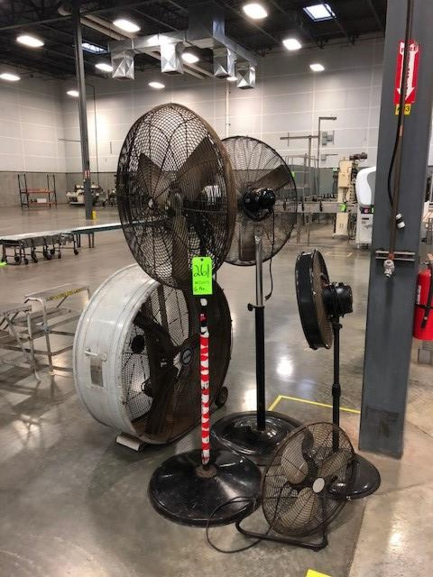 5-Plant Fans, Assorted Sizes