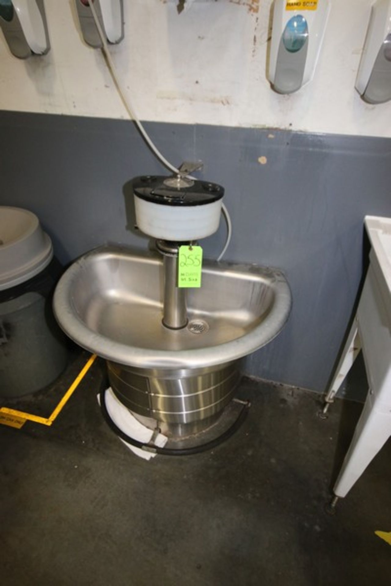 S/S Plant Half Sink, with Foot Controls and Nozzels