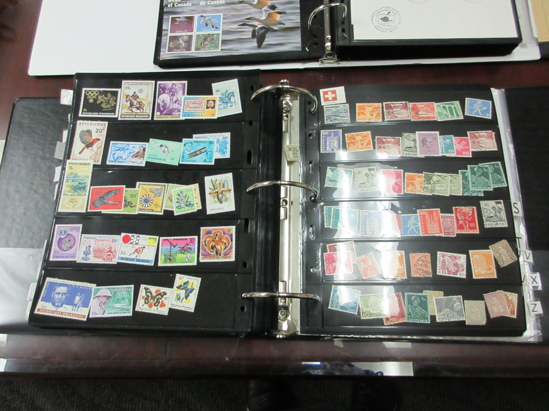 LOT OF APPROX. 15,000 COLLECTABLE WORLD STAMPS ALL ORGANIZED IN BINDERS ( SUBJECT TO APPROVAL ) - Bild 3 aus 10