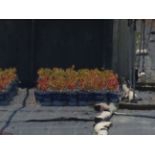 TOTAL OF APPROX (29786) PLANTS, THEY CONSIST OF: (2,500) BLUEBERRY BB PEACH SORBET N01T BNB, (20812)