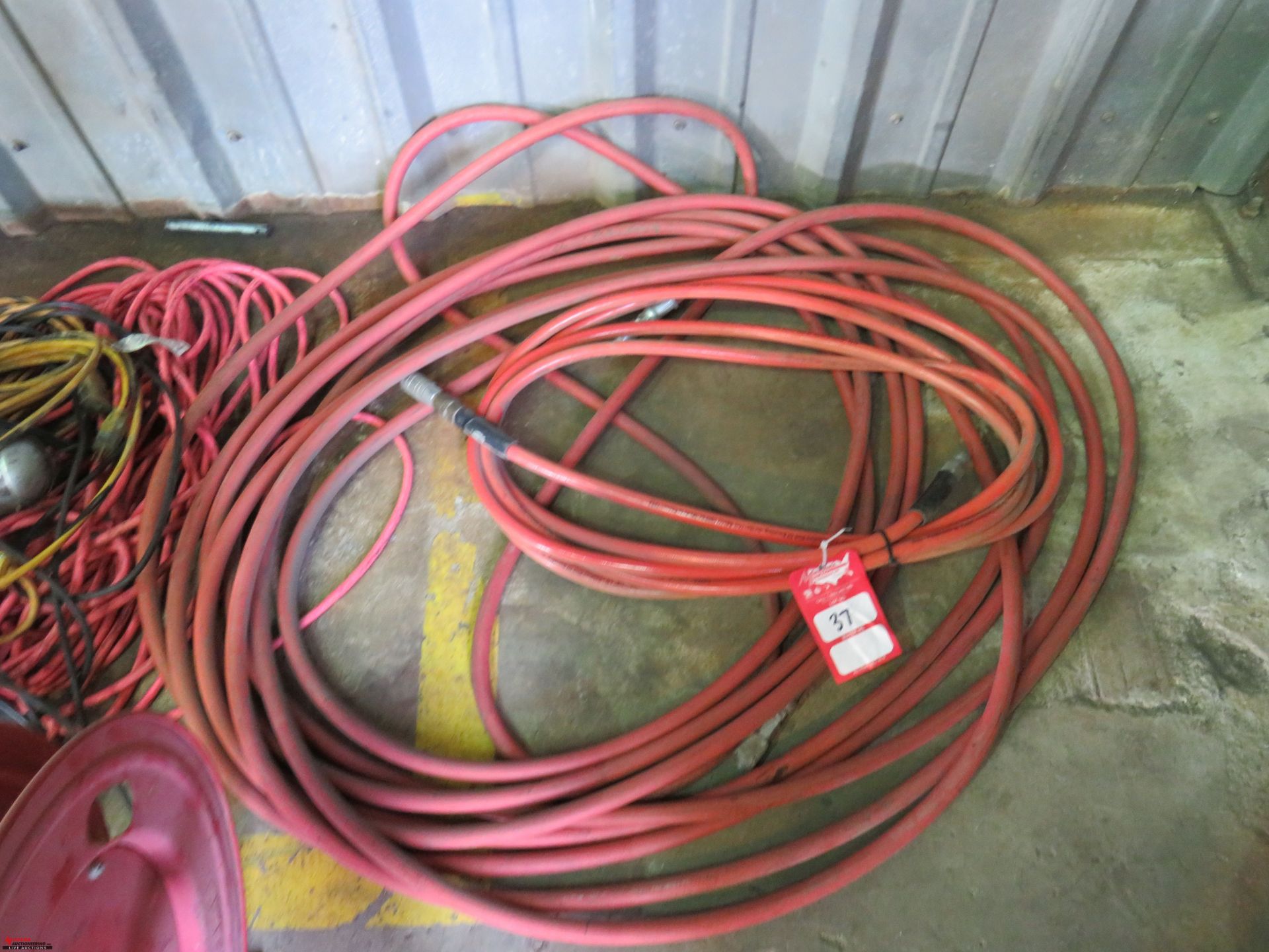 ASSORTED EXTENSION CORDS, AIR HOSES, DROP LIGHTS - Image 4 of 5