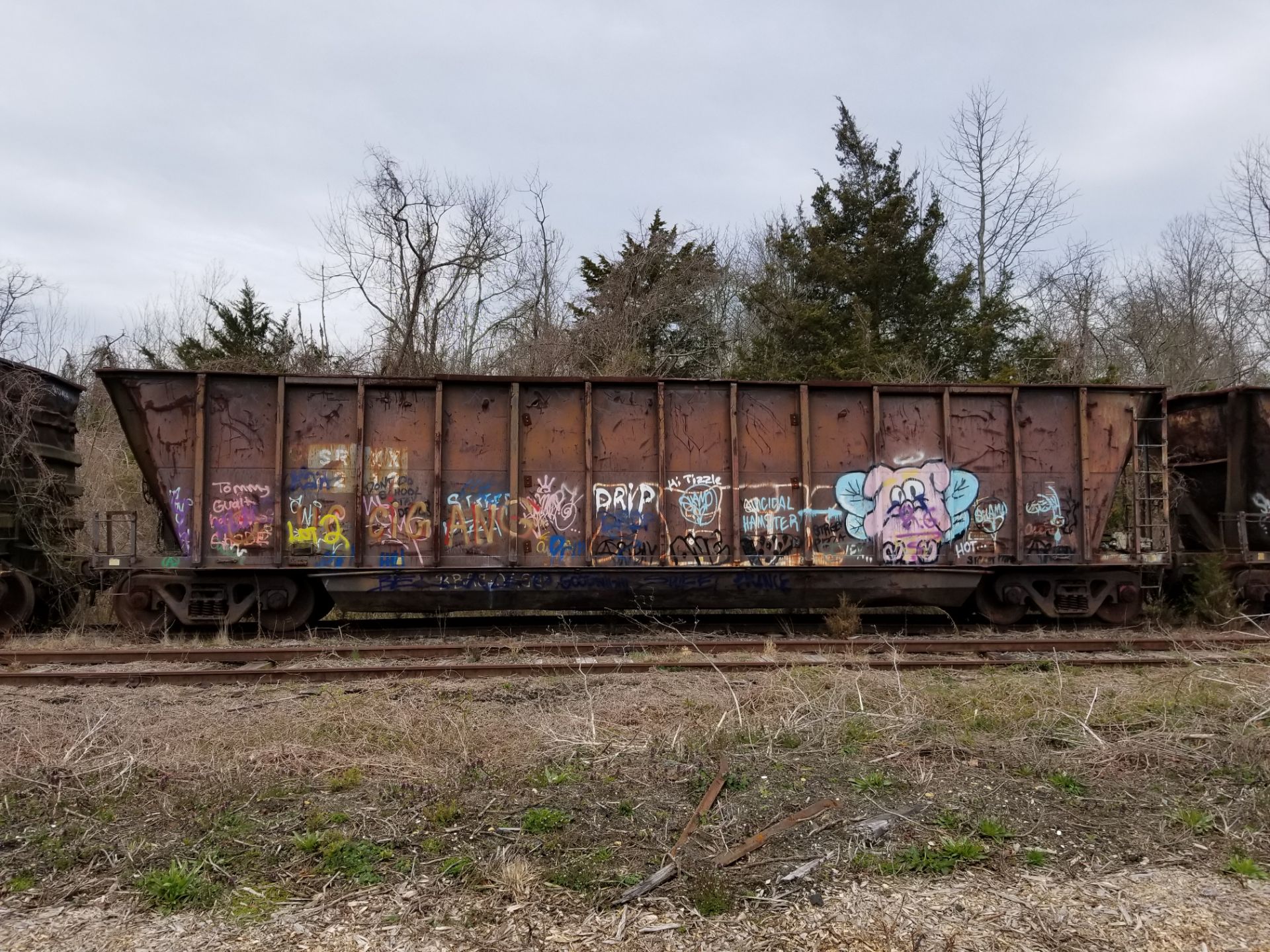 LOT 2 - (X 6) BATH TUB BELLY GONDOLA RAIL CARS (CAPE MAY, NJ) (2-1) SRXX 4207 BATH TUB BELLY GONDOLA - Image 23 of 23