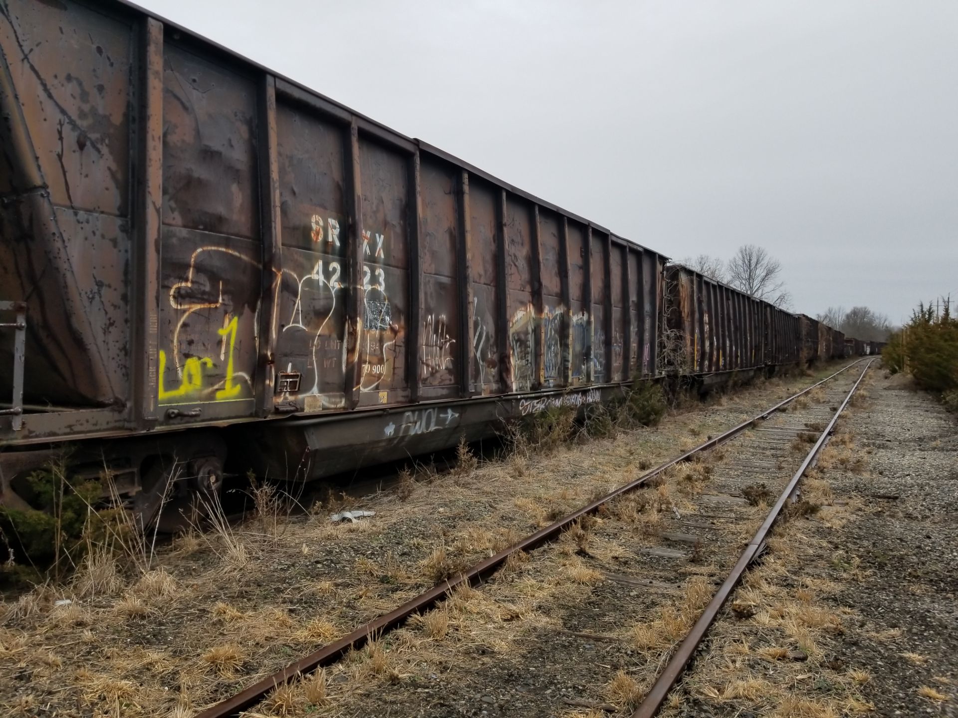 LOT 1 - (X4) BATH TUB BELLY GONDOLA RAIL CARS (CAPE MAY, NJ) (1-1) SRXX 4203 BATH TUB BELLY - Image 9 of 21