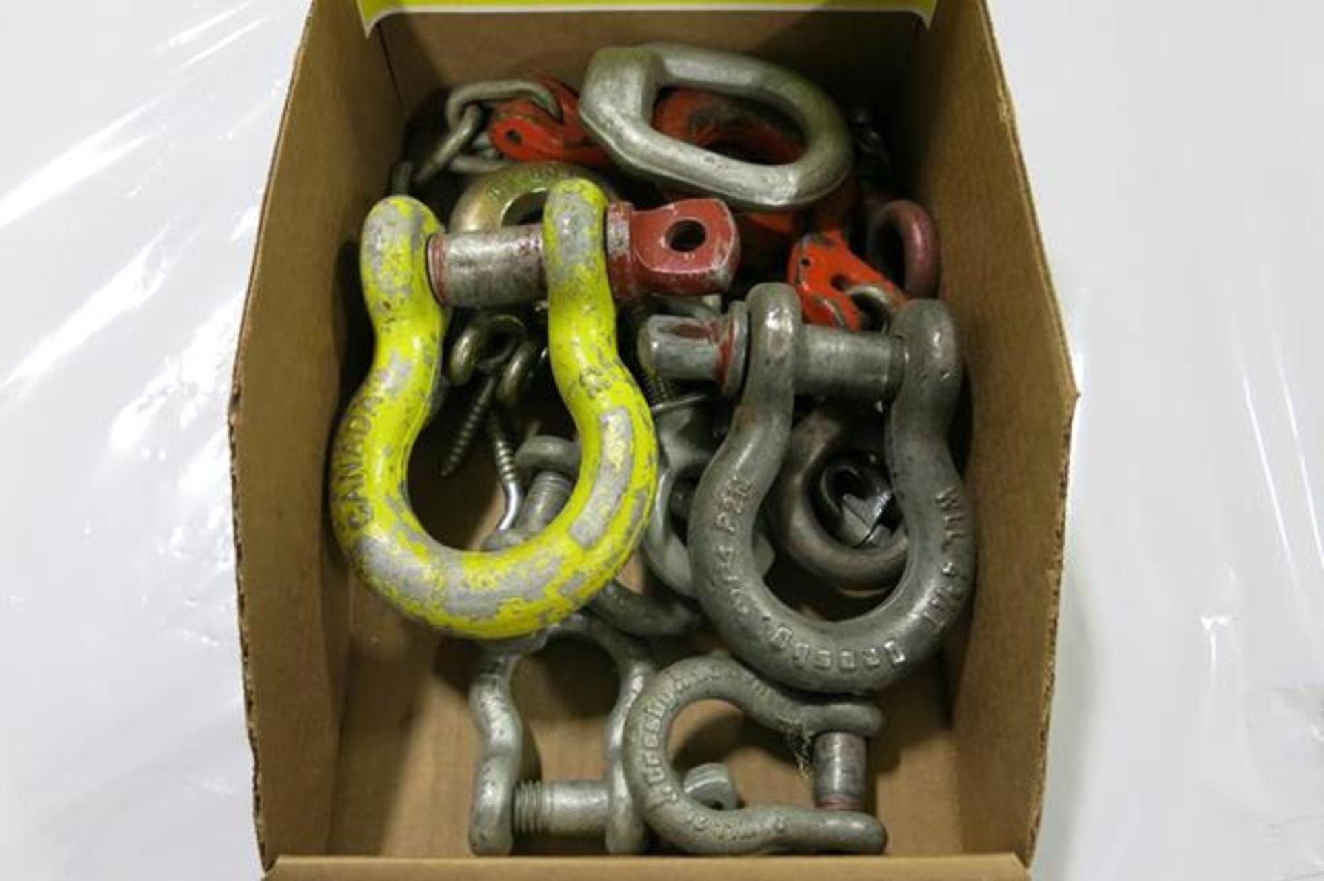 LOT OF SHACKLES - Image 2 of 2