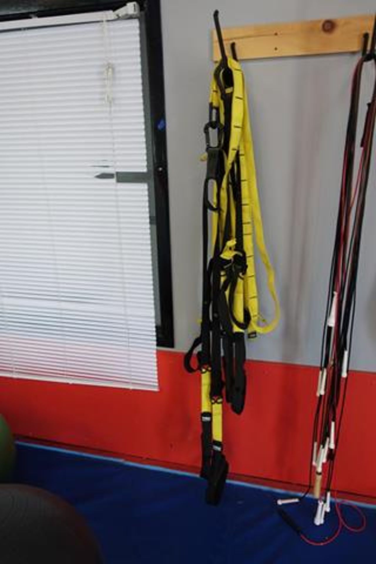 LOT OF ASSORTED STRENGTH TRAINING EQUIPMENT, ROPES AND JUMP ROPES - Image 2 of 4