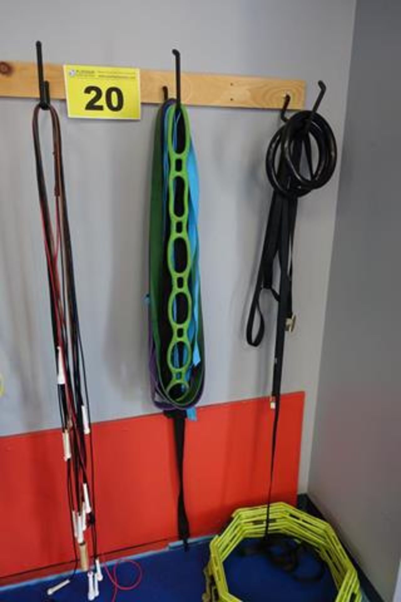 LOT OF ASSORTED STRENGTH TRAINING EQUIPMENT, ROPES AND JUMP ROPES - Image 4 of 4