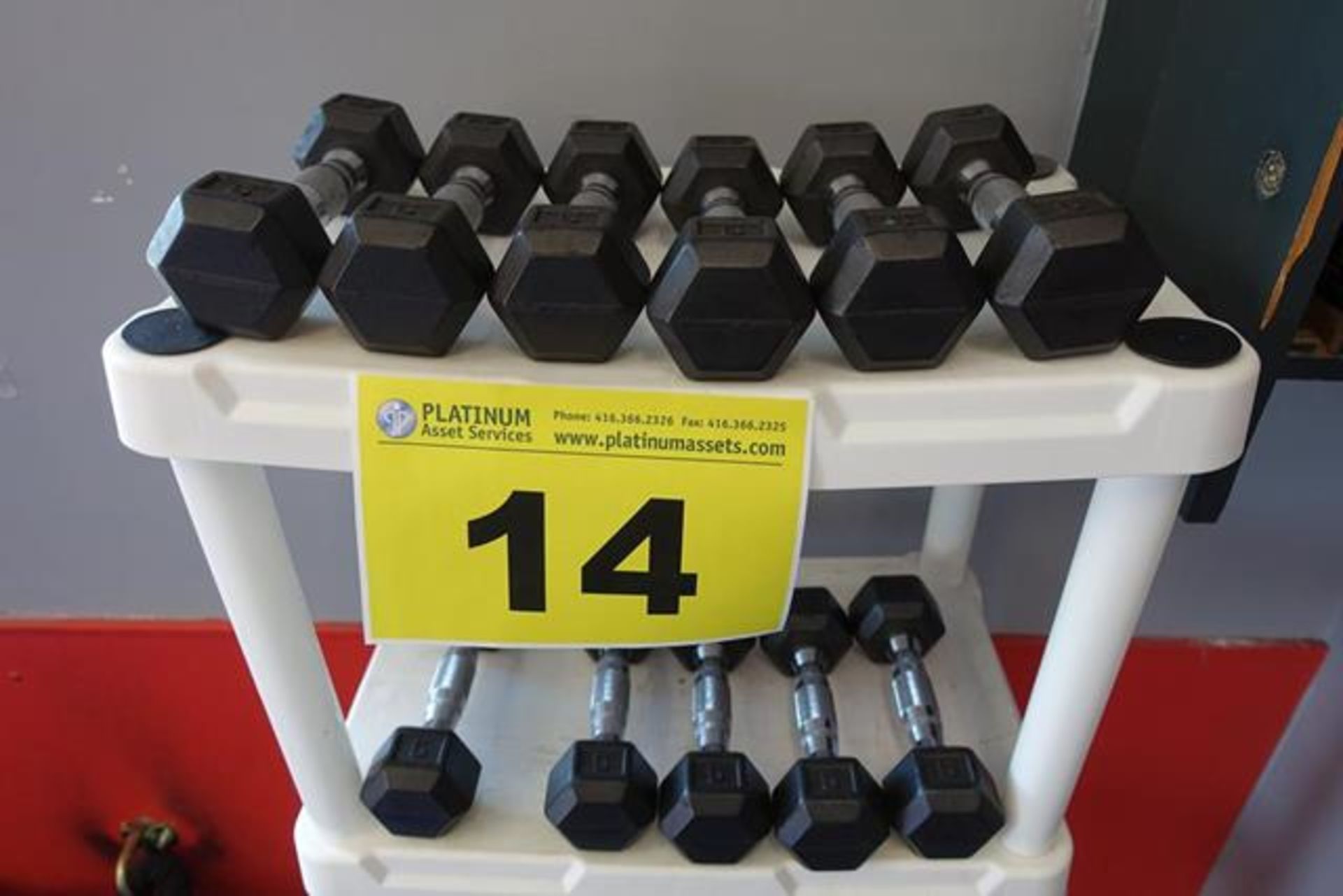 LOT OF (5) PAIRS OF 5 LBS DUMBBELLS