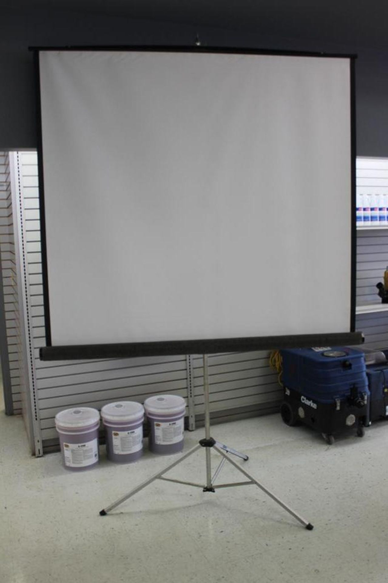 70 in. x 70 in. Projector Screen