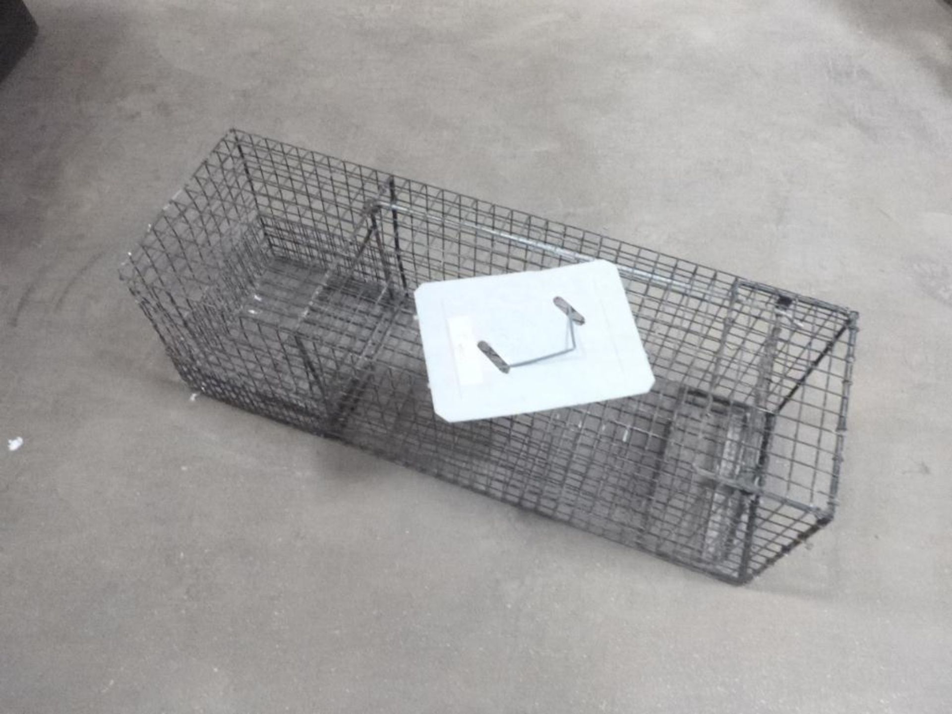 Animal Trap, Medium 11 in. x 11 in. x 36 in. - Image 4 of 4