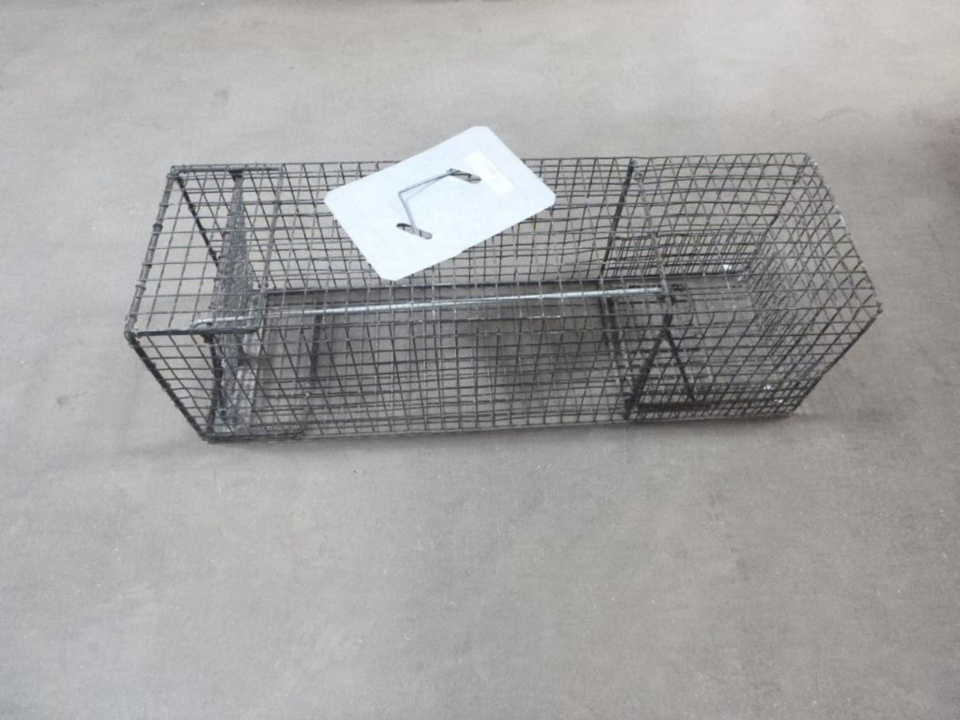 Animal Trap, Medium 11 in. x 11 in. x 36 in. - Image 2 of 4